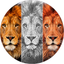 Sketch n Cartoonize icon