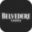 BelvedereDigi icon