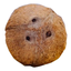 CoCo FuN icon