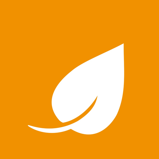 Shaufel go app icon