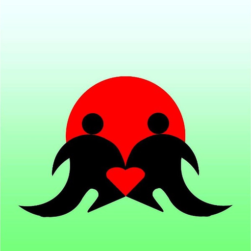 JLPT N5 LEVEL APP LESSON app icon