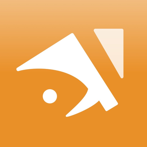 Lingolia Spanish Grammar app icon