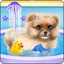 Pomeranian Puppy Day Care icon