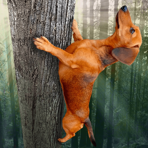 Wild Wiener! app icon