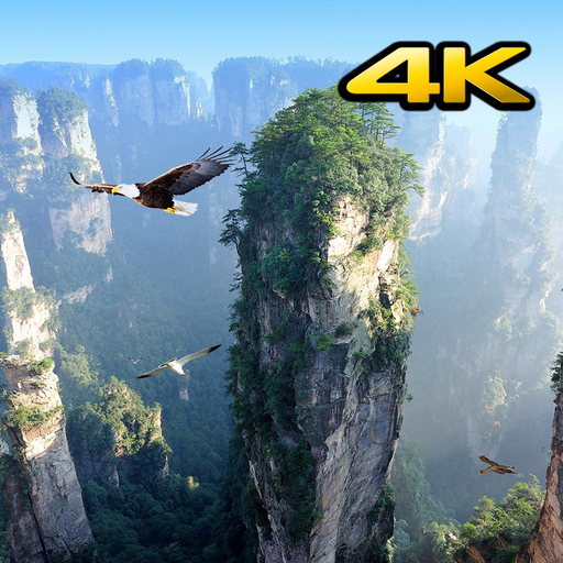 Background Videos 4K app icon