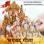 Shrimad Bhagavad Gita in Hindi icon