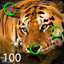 Spot the Differences 100 icon