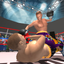 Ninja Punch Boxing Game icon