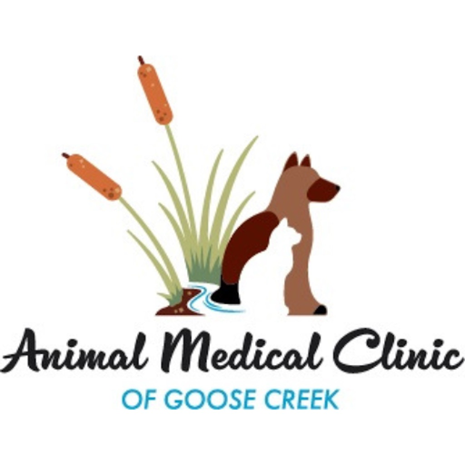 AMC Goose app icon