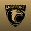 Engefort Alarme e Câmera icon