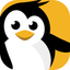 Dataplicity - Terminal for Pi icon