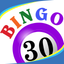 Bingo Thirty™ icon