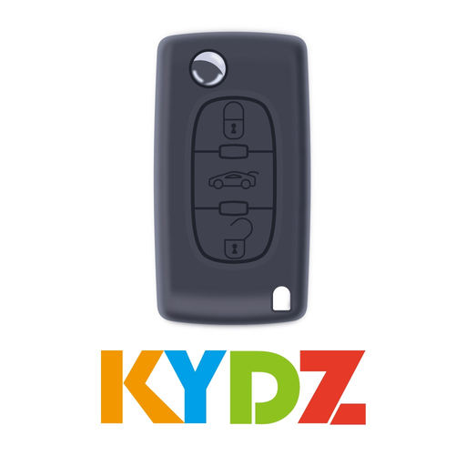 Remote Tool For Peugeot/Citroe app icon