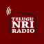 Telugu NRI Radio icon