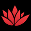 Thai Bloom! icon
