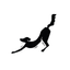 Black Dog Yoga icon