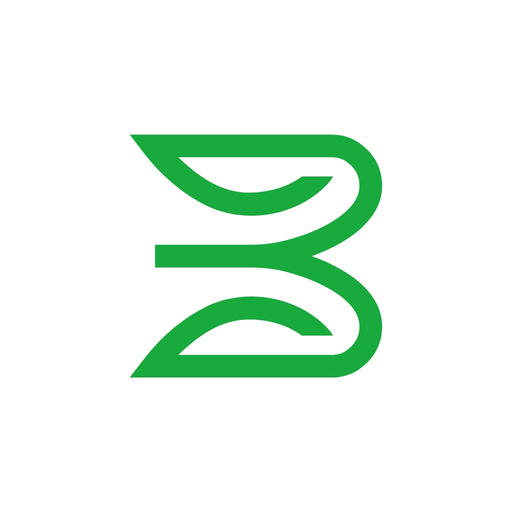 BSP Fiji Mobile Banking app icon