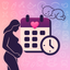 Pregnancy Calculator & Diary icon
