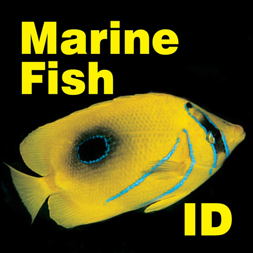 Marine Fish Maldives app icon