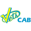 Vets Cab icon