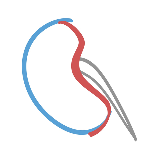 Dialysis Pro app icon