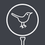 Golf GPS - Hello Birdie icon