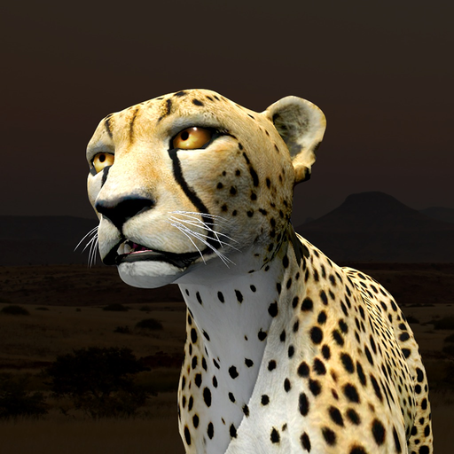 Virtual Cheetah app icon