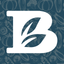 Broulim's icon