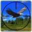 Wild Bird Hunter America icon