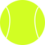 Tennis Umpire App icon