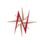 Northern Star Credit Union icon