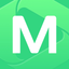 MegaPay icon