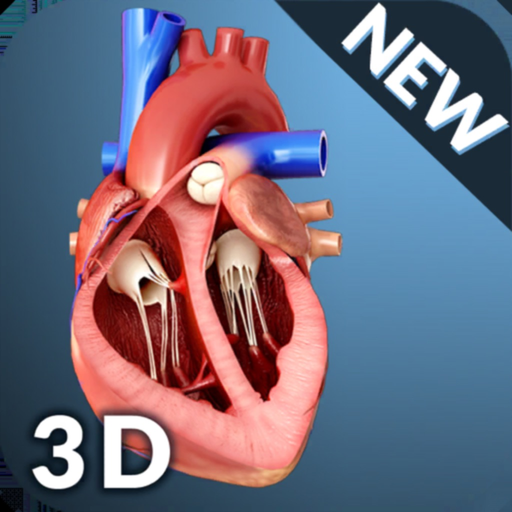 My Heart Anatomy app icon