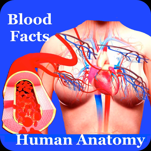 Human Anatomy Blood Facts 2000 app icon