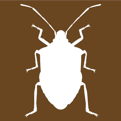 Midwest Stink Bug app icon