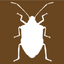 Midwest Stink Bug icon
