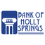 Bank of Holly Springs Mobility icon