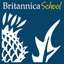 Safer Britannica icon
