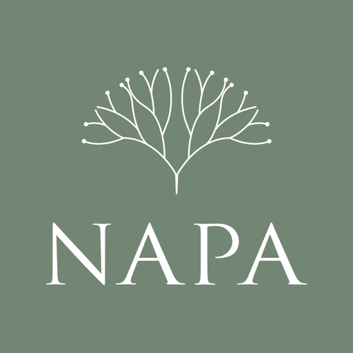 NAPA HK app icon