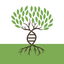 Southwest Functional Medicine icon