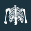Thorax - thoracic radiology icon