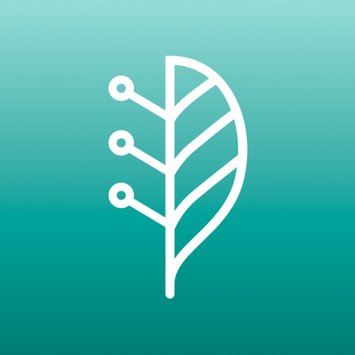 LINDERA Mobility Analysis app icon