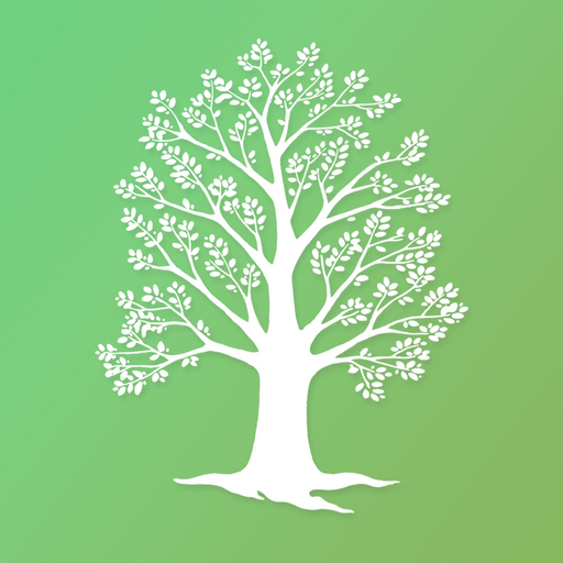New Life School app icon