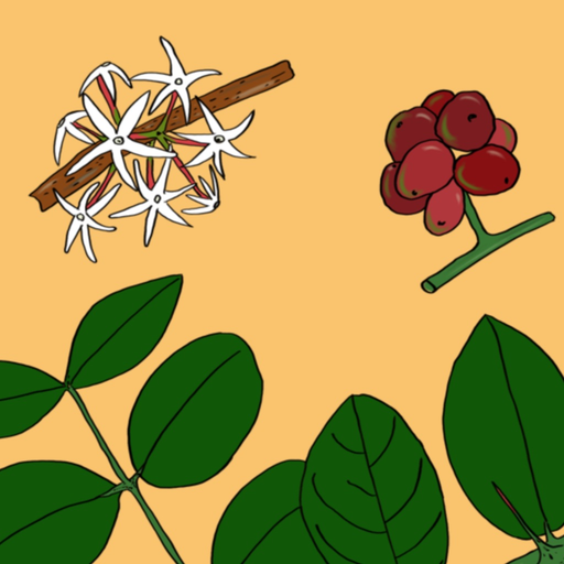 The Tree Seasons app icon