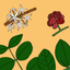 The Tree Seasons icon