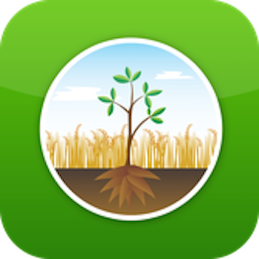 LDD Zoning app icon