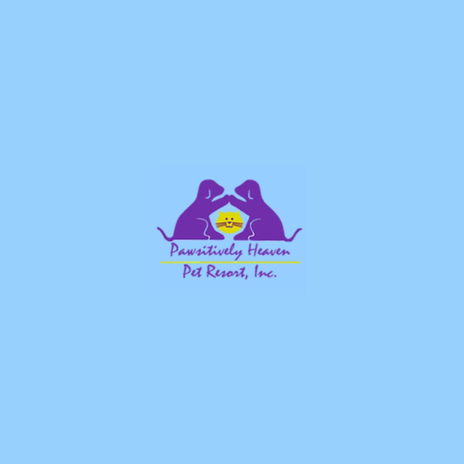 Pawsitively Heaven Cams app icon