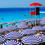 Nice's Best: A Travel Guide icon