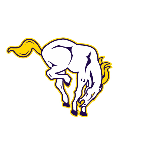 Lakin USD 215 app icon