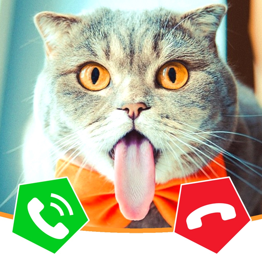 Call Cat 2 app icon